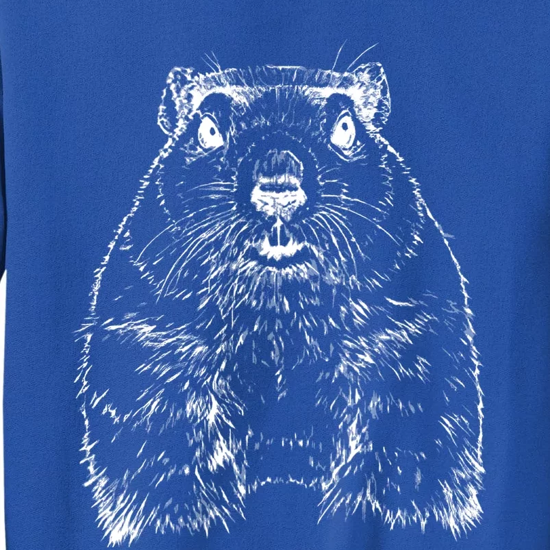 Groundhog Day Funny February Animal Forecasting Gift Sweatshirt