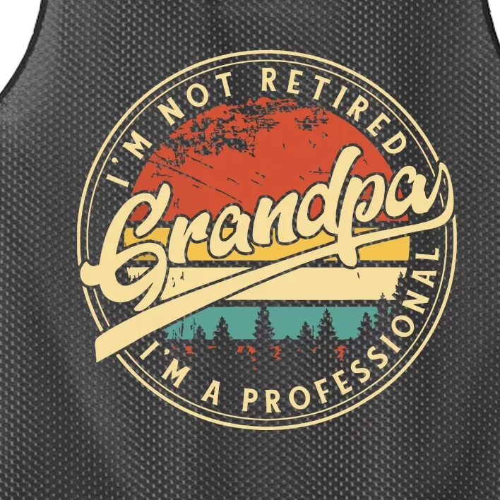 Grandparents Day Im Not Retired Im A Professional Grandpa Mesh Reversible Basketball Jersey Tank