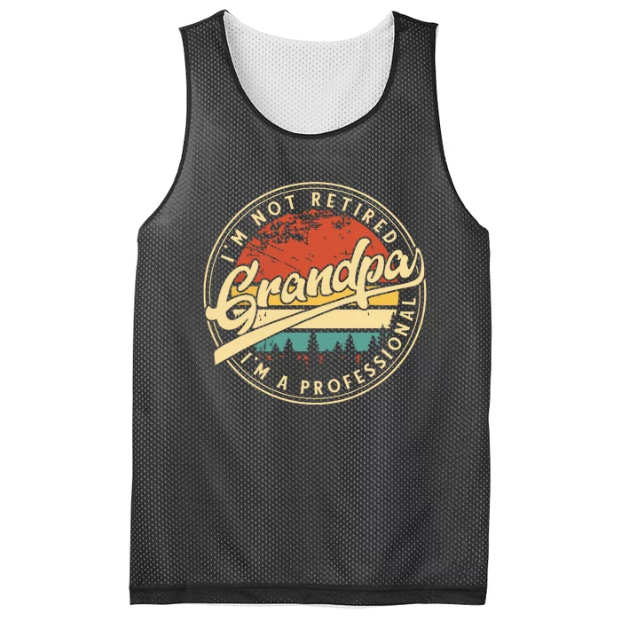 Grandparents Day Im Not Retired Im A Professional Grandpa Mesh Reversible Basketball Jersey Tank