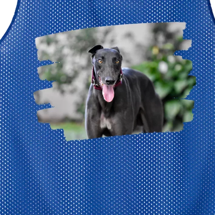 Greyhound Dog Lover Gift Mesh Reversible Basketball Jersey Tank