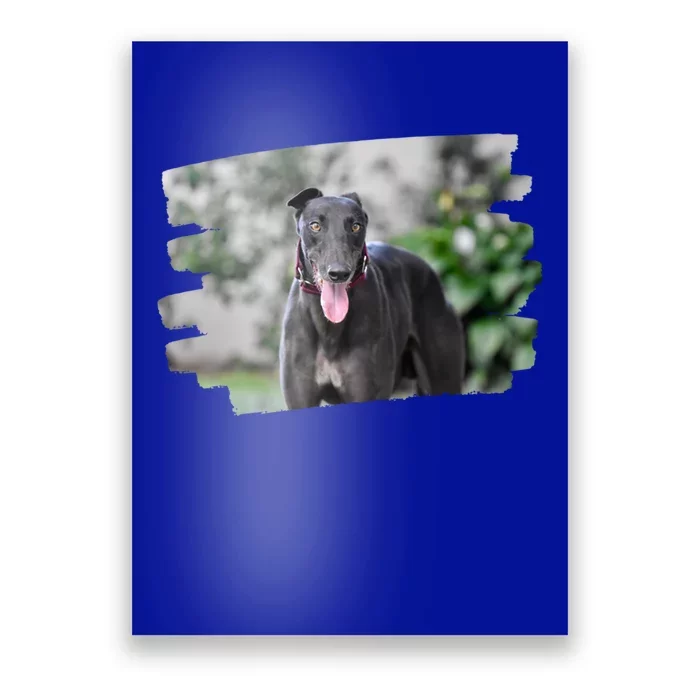 Greyhound Dog Lover Gift Poster