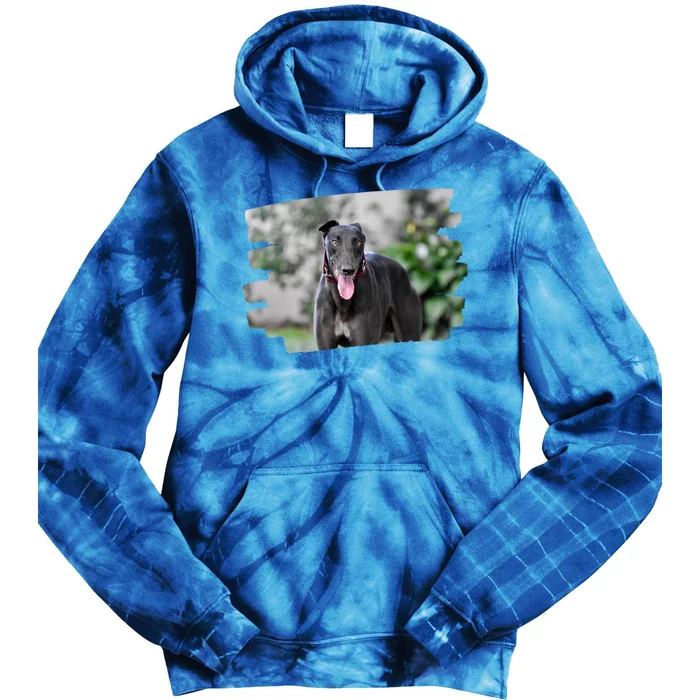 Greyhound Dog Lover Gift Tie Dye Hoodie