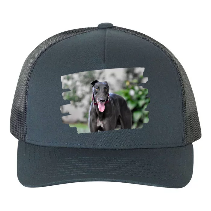 Greyhound Dog Lover Gift Yupoong Adult 5-Panel Trucker Hat