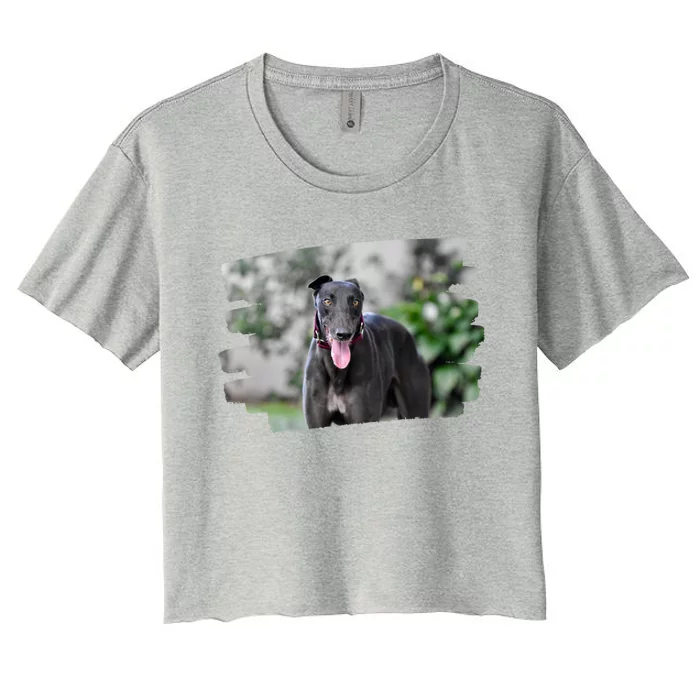 Greyhound Dog Lover Gift Women's Crop Top Tee