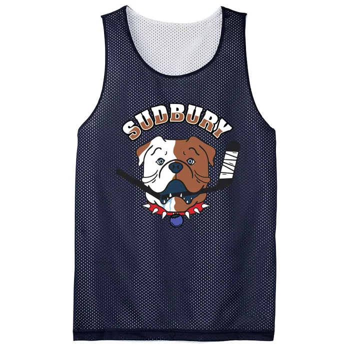 Teeshirtpalace Great Design Letterkenny Shoresy Sudbury Blueberry Bulldogs #69 Captain Sweater Mesh Reversible Basketball Jersey Tank