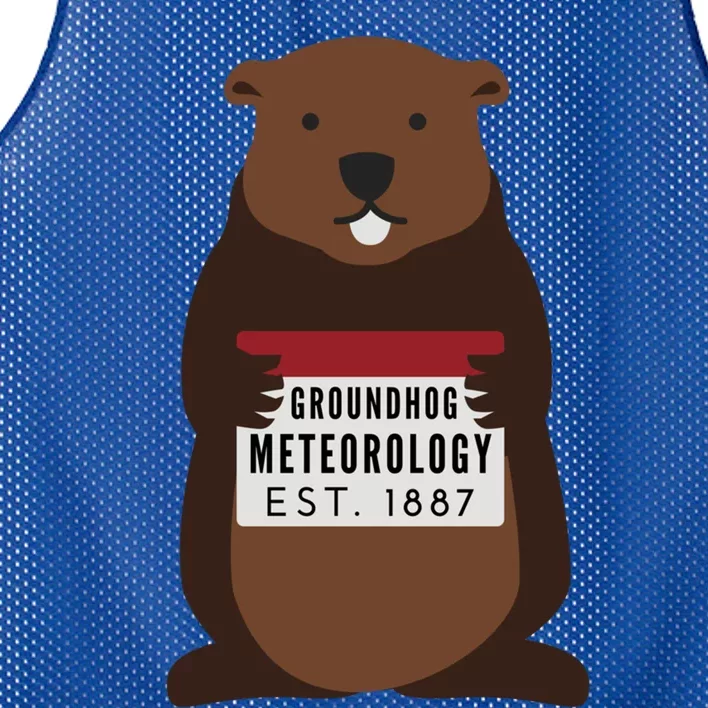 Groundhog Day Punxsutawney Phil Meteorologist Meteorology Gift Mesh Reversible Basketball Jersey Tank