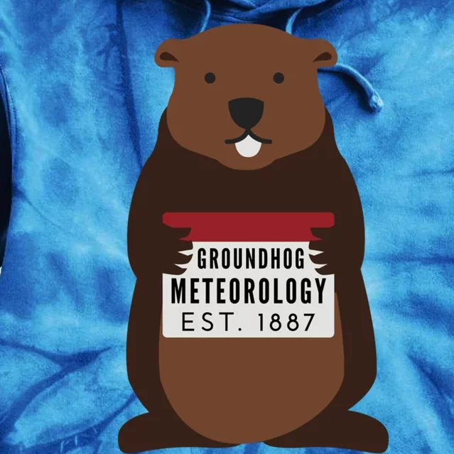 Groundhog Day Punxsutawney Phil Meteorologist Meteorology Gift Tie Dye Hoodie