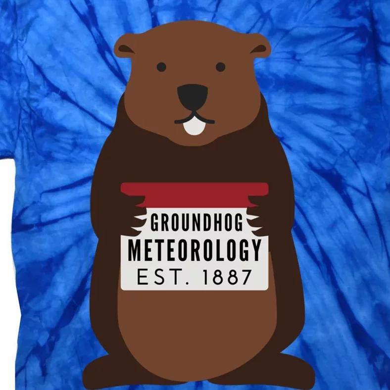 Groundhog Day Punxsutawney Phil Meteorologist Meteorology Gift Tie-Dye T-Shirt