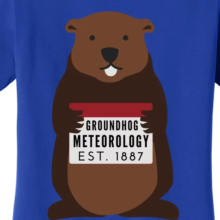 Groundhog Day Punxsutawney Phil Meteorologist Meteorology Gift Women's T-Shirt