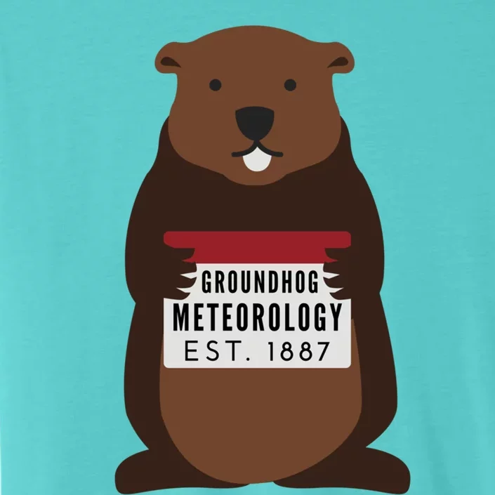 Groundhog Day Punxsutawney Phil Meteorologist Meteorology Gift ChromaSoft Performance T-Shirt