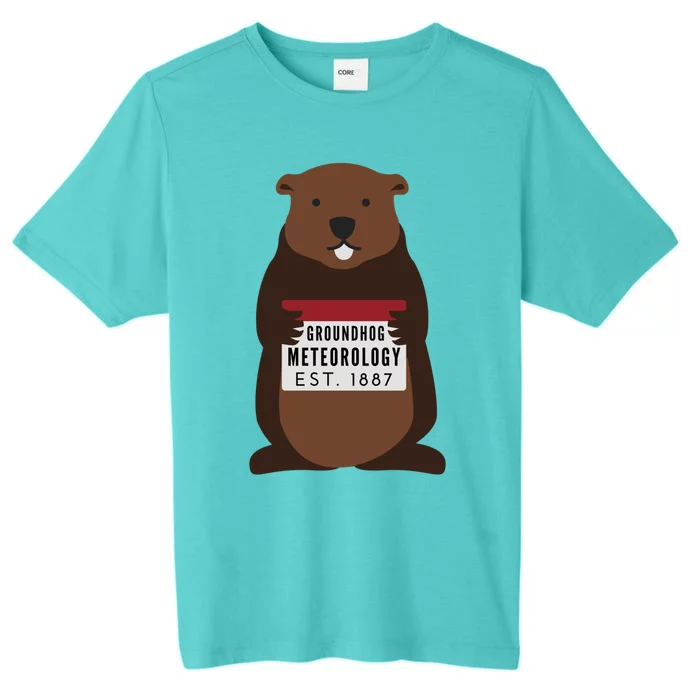 Groundhog Day Punxsutawney Phil Meteorologist Meteorology Gift ChromaSoft Performance T-Shirt