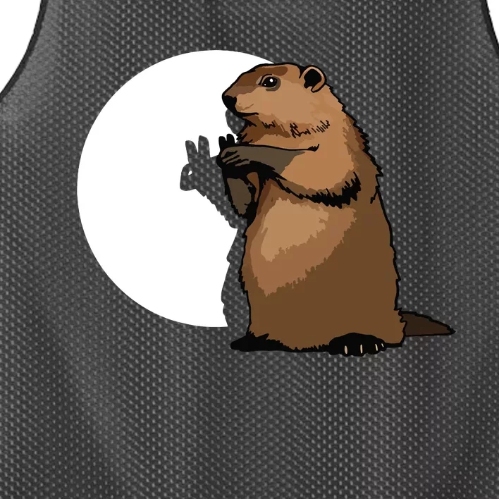 Groundhog Day Shadow Puppet Funny Gift Mesh Reversible Basketball Jersey Tank