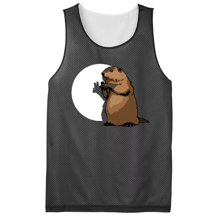 Groundhog Day Shadow Puppet Funny Gift Mesh Reversible Basketball Jersey Tank