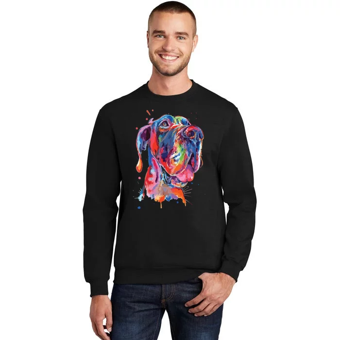 Great Dane Splash Art Dane Tall Sweatshirt