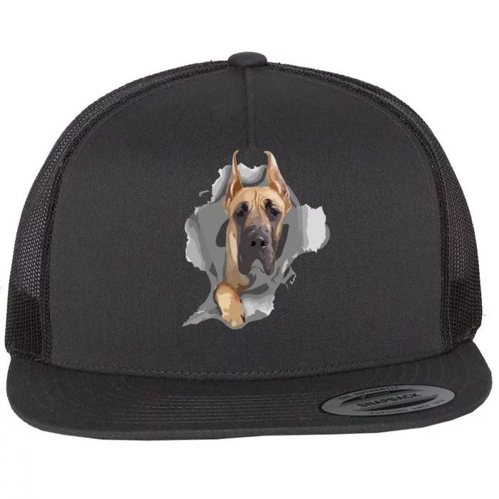 Great Dane Shirts Great Dane Lover Shirts Great Dane Flat Bill Trucker Hat