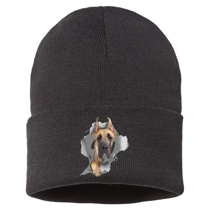 Great Dane Shirts Great Dane Lover Shirts Great Dane Sustainable Knit Beanie