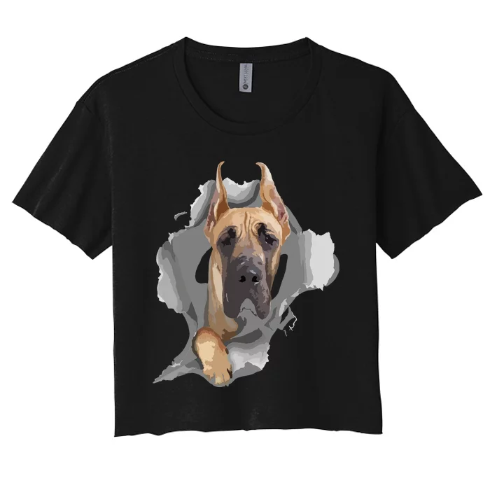 Great Dane Shirts Great Dane Lover Shirts Great Dane Women's Crop Top Tee