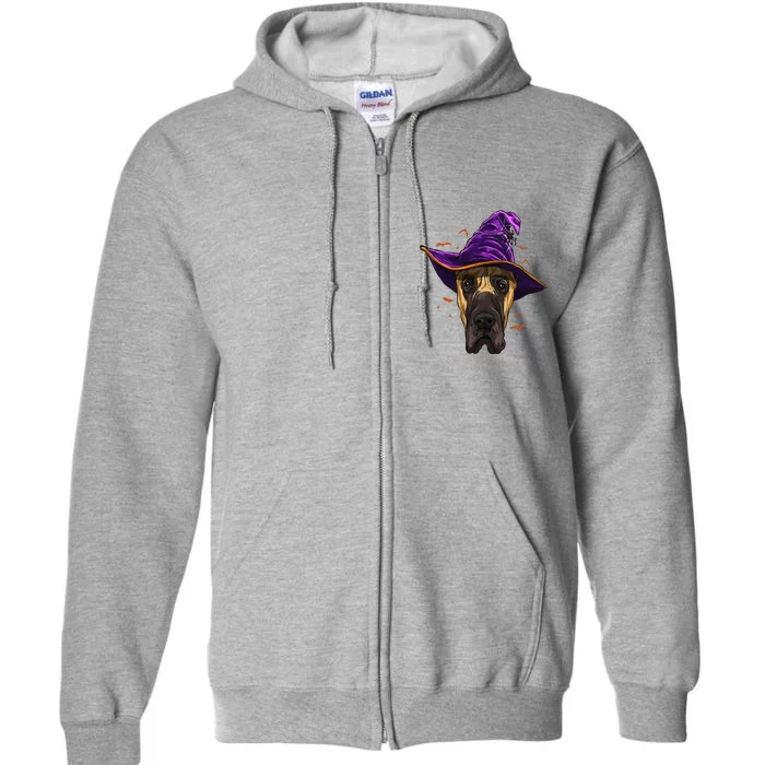 Great Dane Witch Hat Funny Halloween Dog Lover Full Zip Hoodie