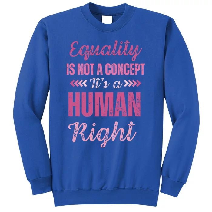 Gender Equality Hu Rights Sexism Awareness Gift Sweatshirt