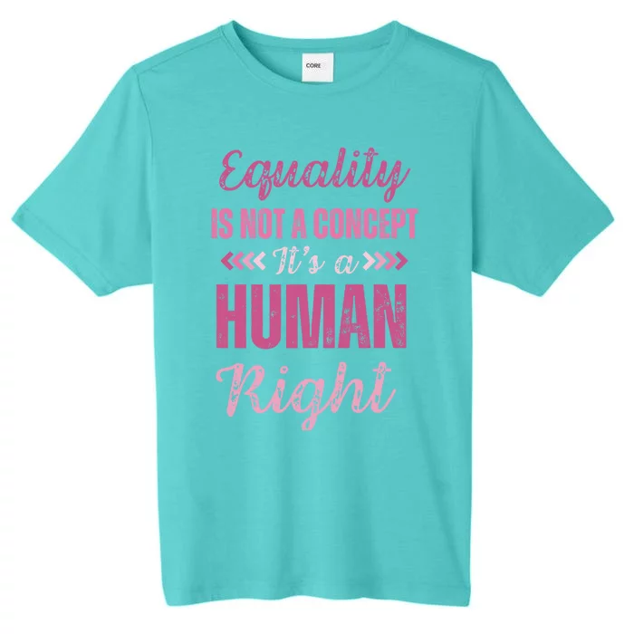 Gender Equality Hu Rights Sexism Awareness Gift ChromaSoft Performance T-Shirt