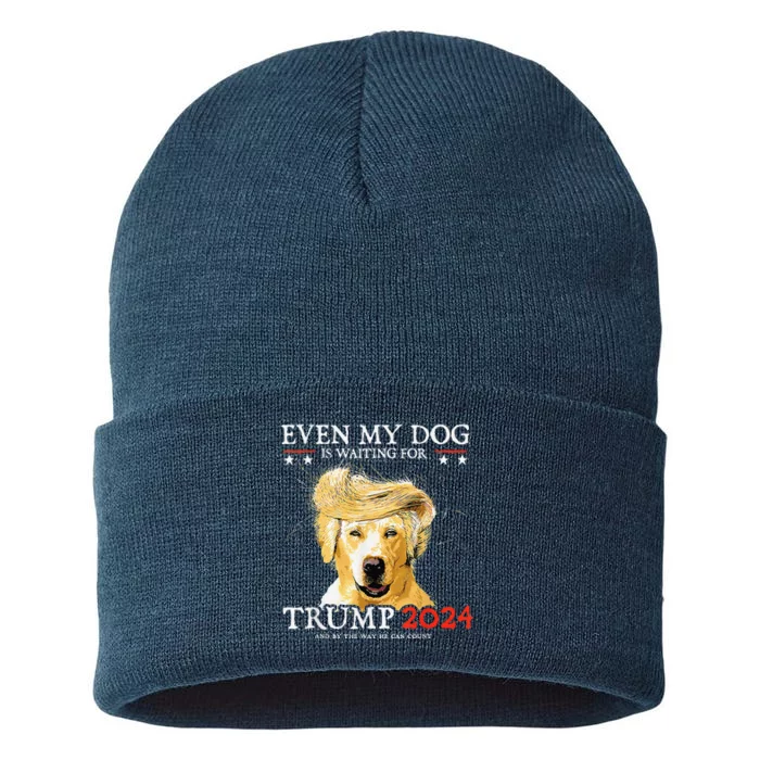 Groovy Even My Dog Is Waiting For Trump 2024 Funny Dog Sustainable Knit Beanie