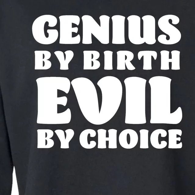 Genius By Birth Evil By Choice Cropped Pullover Crew