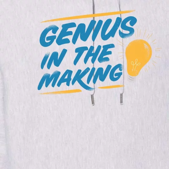 Genius In The Making Premium Hoodie