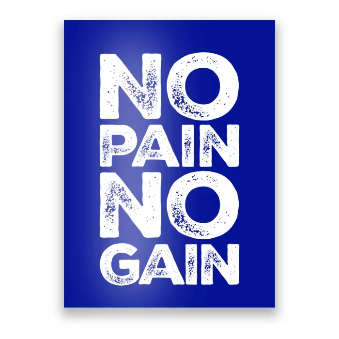 Gym Fitness And Bodybuilding Funny Gift No Pain No Gain Great Gift Poster