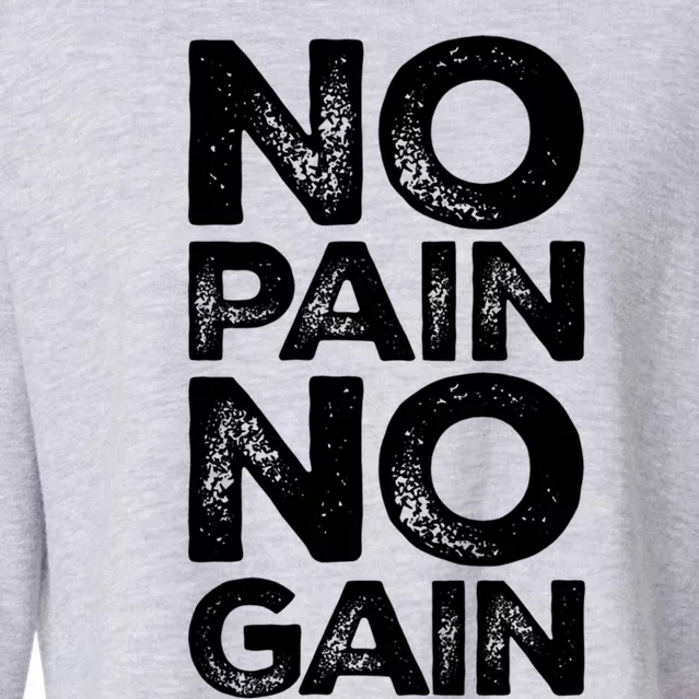 Gym Fitness And Bodybuilding Funny Gift No Pain No Gain Great Gift Cropped Pullover Crew