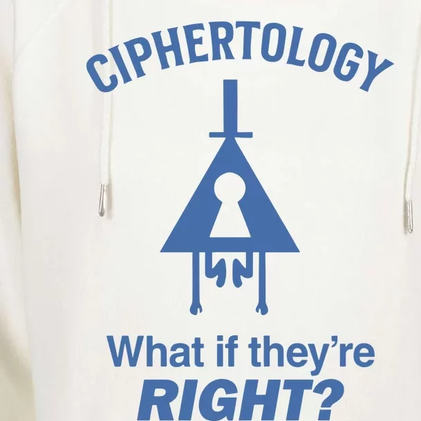 Gravity Falls Ciphertology What If TheyRe Right Womens Funnel Neck Pullover Hood