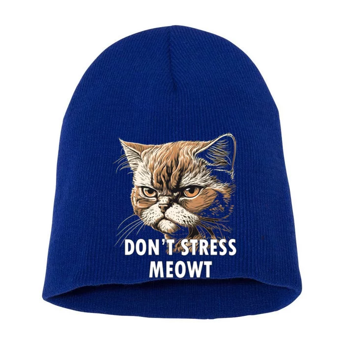 Grumpy Funny Cat Dont Stress Meowt Silly Cats Lover Great Gift Short Acrylic Beanie