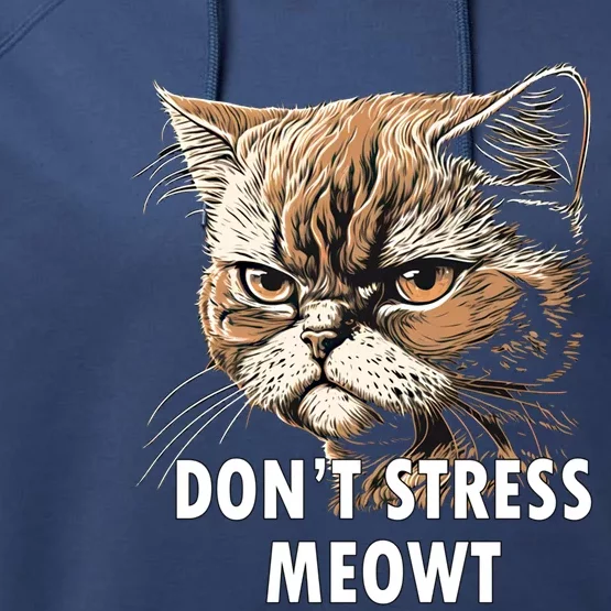 Grumpy Funny Cat Dont Stress Meowt Silly Cats Lover Gift Performance Fleece Hoodie