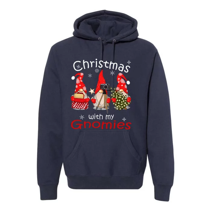 Gnome Family Christmas For Gnomies Xmas Premium Hoodie