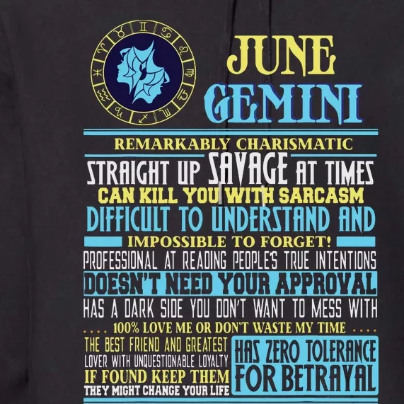 Gemini Facts Funny June Gemini Birthday Gift Premium Hoodie