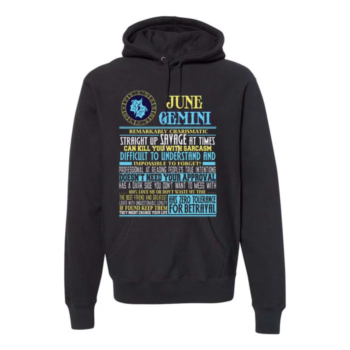 Gemini Facts Funny June Gemini Birthday Gift Premium Hoodie