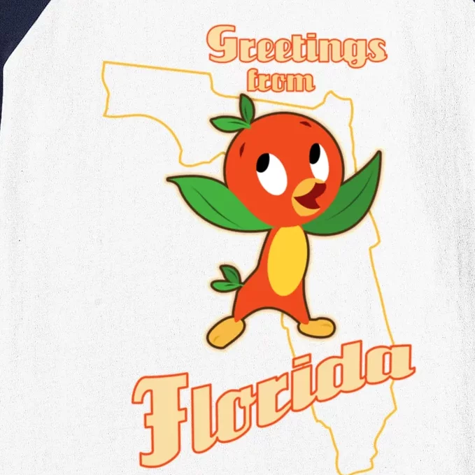 Greetings From Florida Baseball Sleeve Shirt