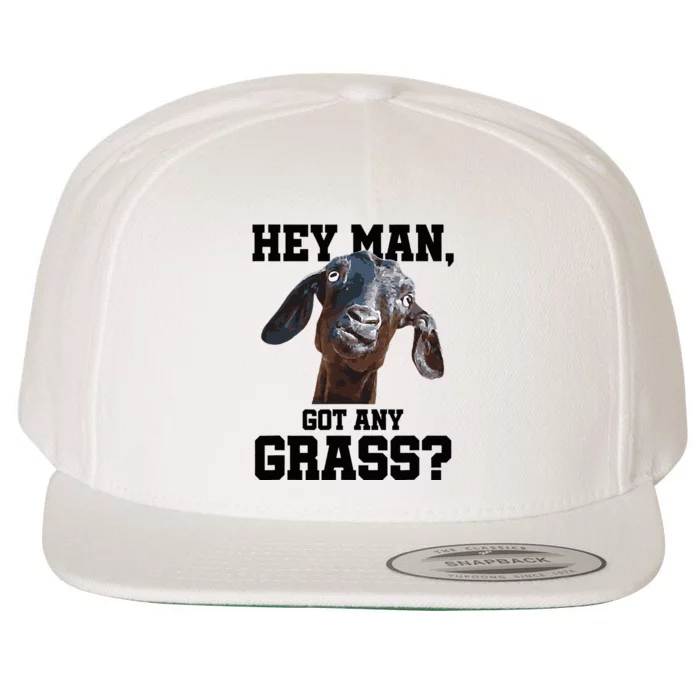 Goat For Goat Lovers Farm Apparel Meme Pun Wool Snapback Cap