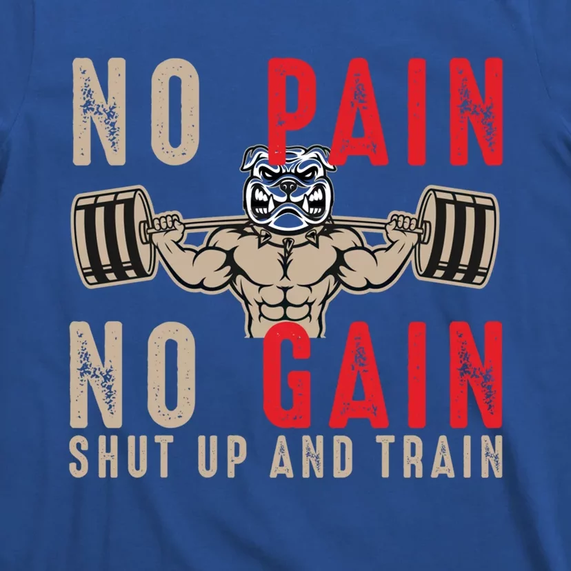 Gym Funny Gift Workout Funny Gift Fitness Funny Gift No Pain No Gain Gift T-Shirt