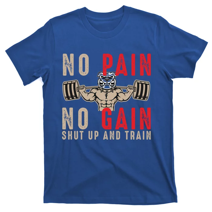 Gym Funny Gift Workout Funny Gift Fitness Funny Gift No Pain No Gain Gift T-Shirt