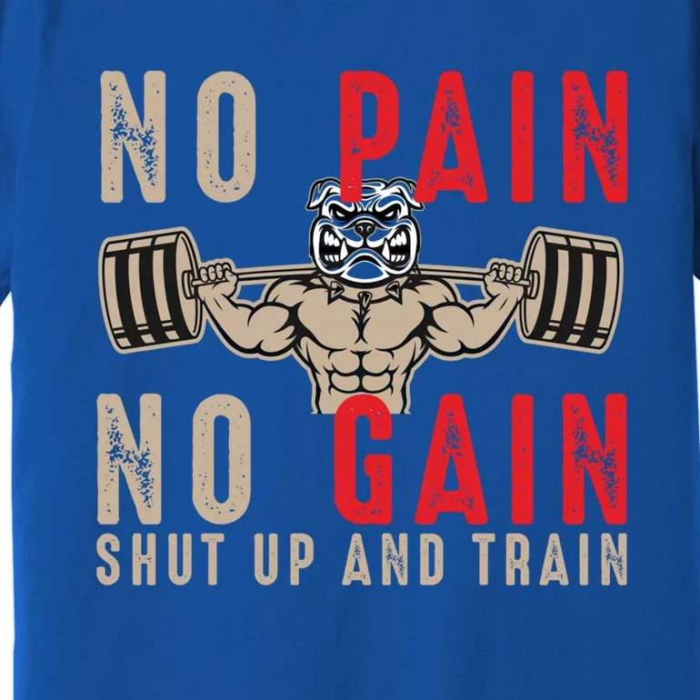 Gym Funny Gift Workout Funny Gift Fitness Funny Gift No Pain No Gain Gift Premium T-Shirt