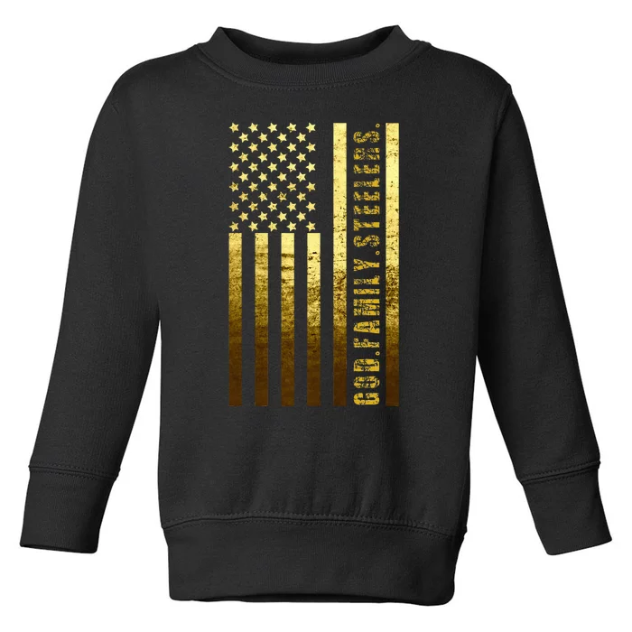 God Family Steelers Pro Us Flag Father's Day Dad Gift Toddler Sweatshirt