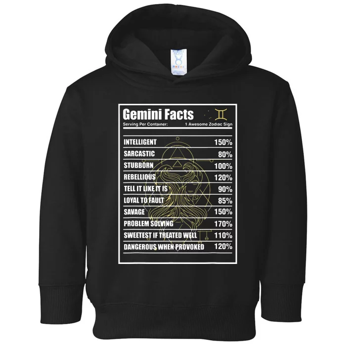 Gemini Facts Zodiac Sign Toddler Hoodie