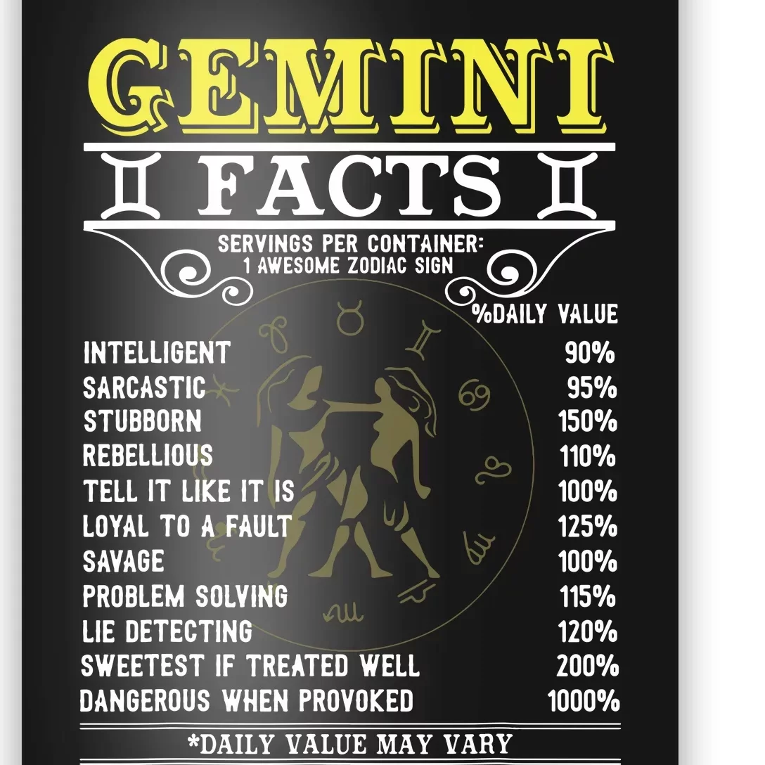 Gemini Facts Zodiac Signs Funny Birthday Gifts Men Women Poster