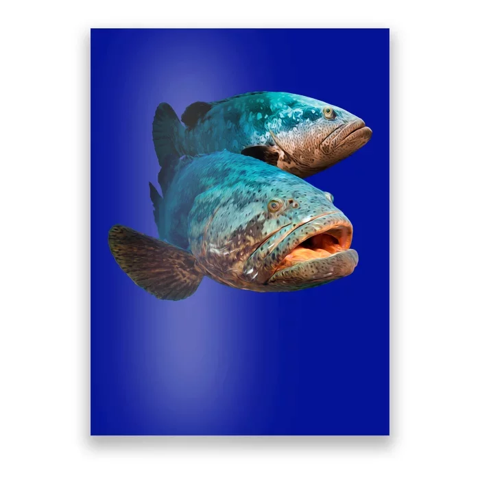 Goliath Grouper Fish Poster