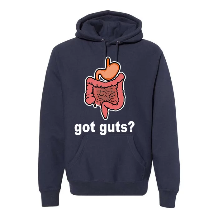 Got Guts Funny Gastrointestinal GI Nurse Doctor Humor Gift Premium Hoodie