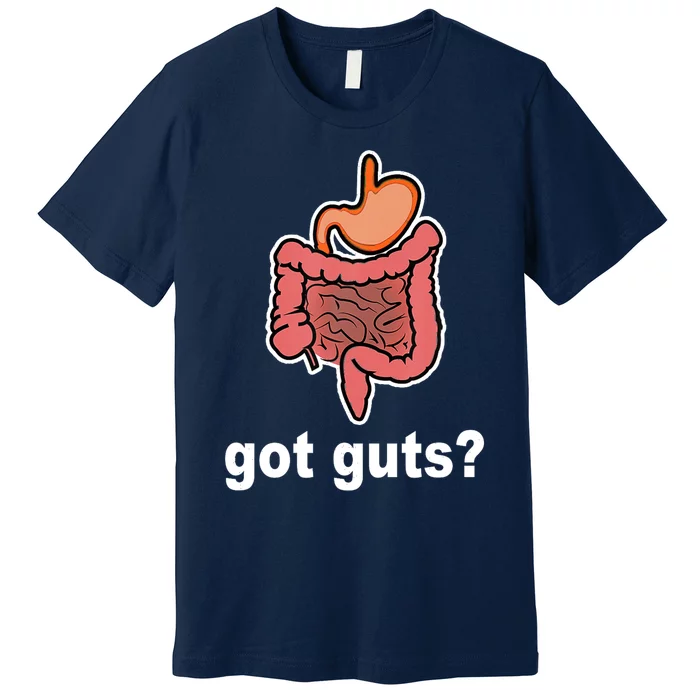 Got Guts Funny Gastrointestinal GI Nurse Doctor Humor Gift Premium T-Shirt