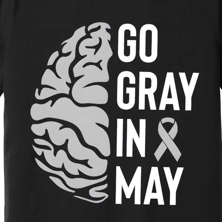 Go Gray In May Brain Tumor Awareness Premium T-Shirt