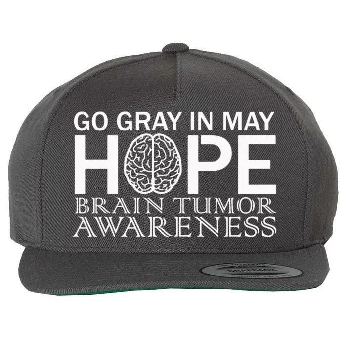 Go Gray In May Brain Cancer Wool Snapback Cap