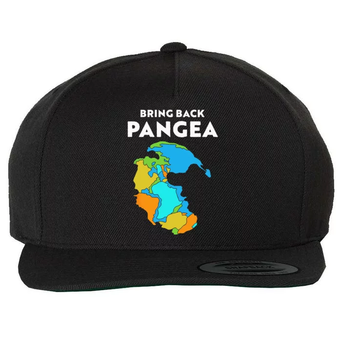 Geography Gift Kids Men Women Geology Reunite Pangea Wool Snapback Cap