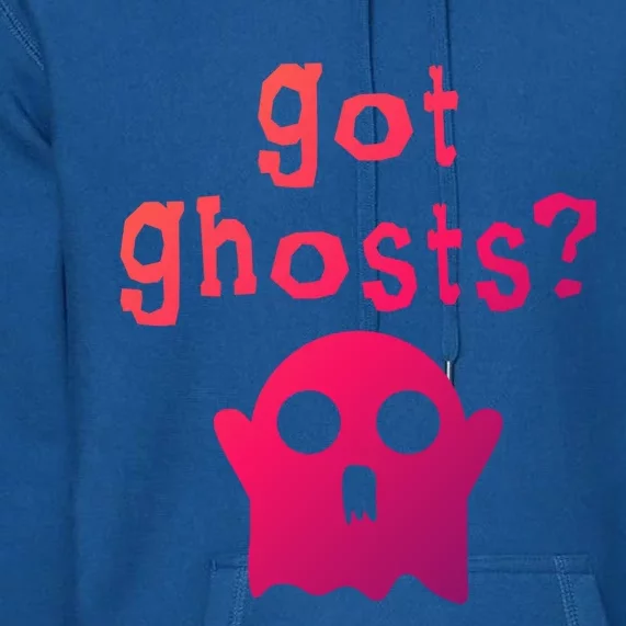 Got Ghosts Paranormal Gift Premium Hoodie